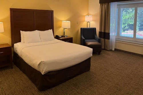 Comfort Inn Monterey Peninsula Airport - image 24