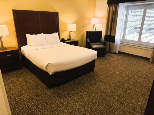 Comfort Inn Monterey Peninsula Airport - image 40