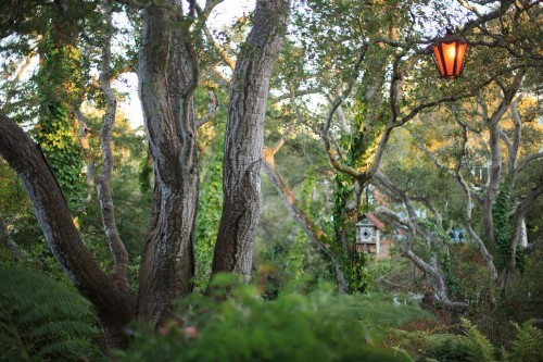 Old Monterey Inn - image 30