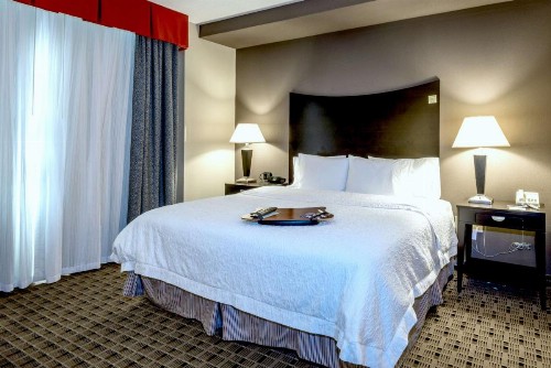 Hampton Inn & Suites Montgomery-Downtown - image 46