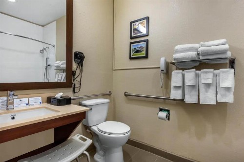 Comfort Inn & Suites Montgomery East Carmichael Rd - image 14