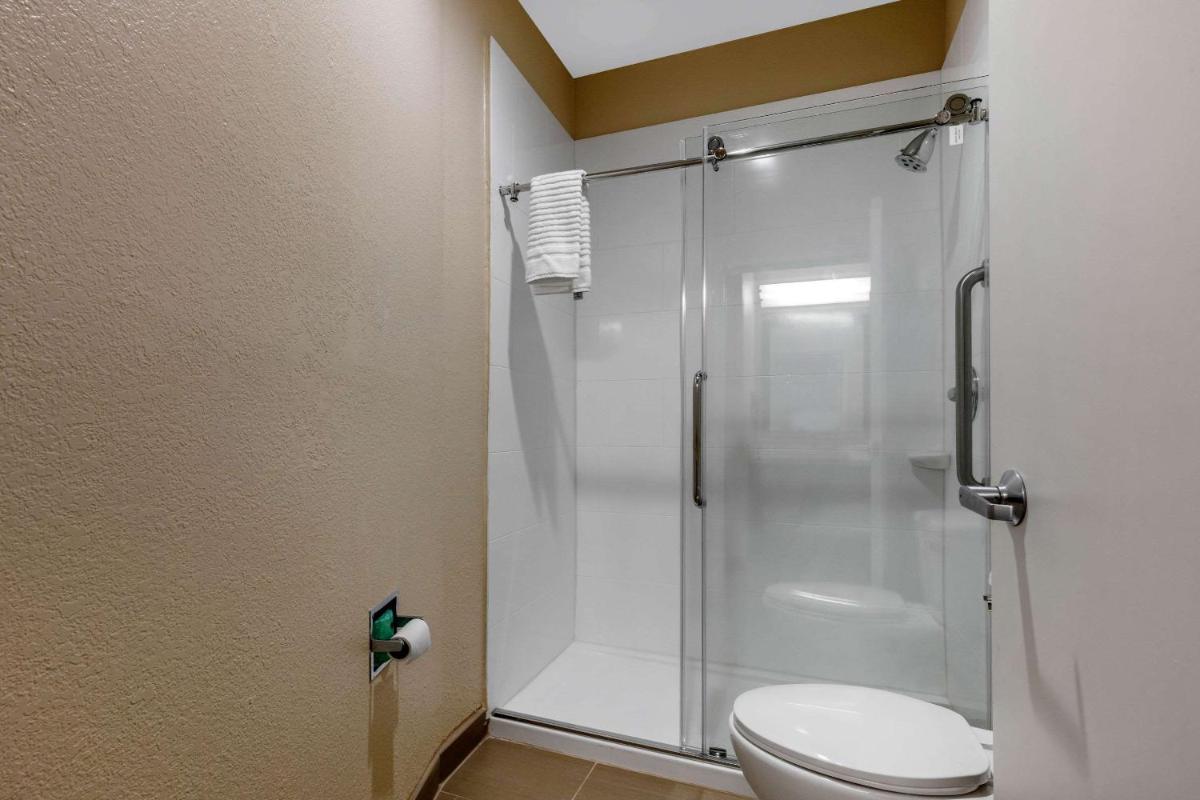 Comfort Inn & Suites Montgomery East Carmichael Rd - image 2