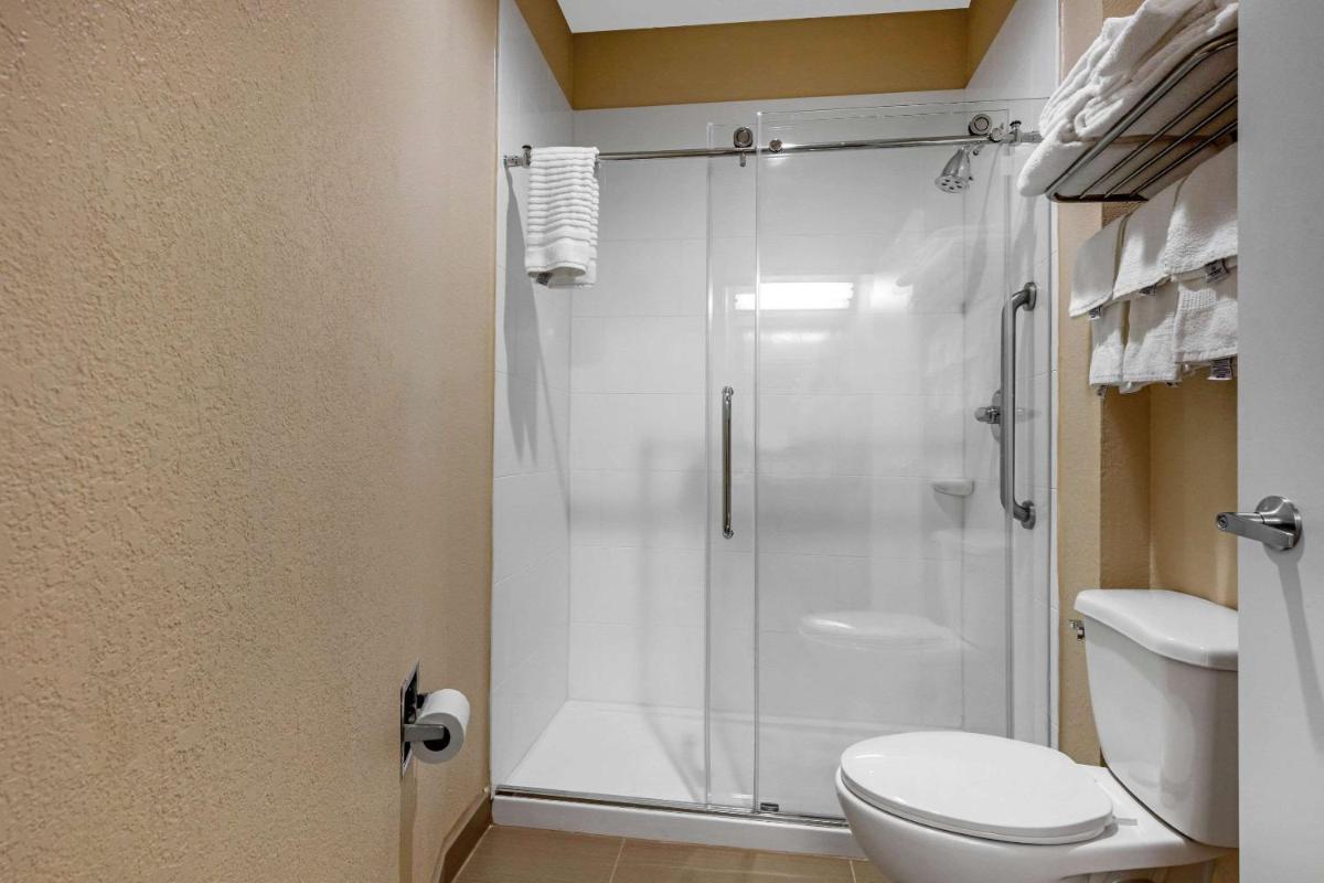 Comfort Inn & Suites Montgomery East Carmichael Rd - image 3