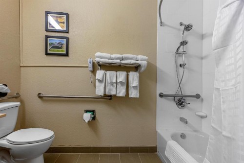 Comfort Inn & Suites Montgomery East Carmichael Rd - image 5