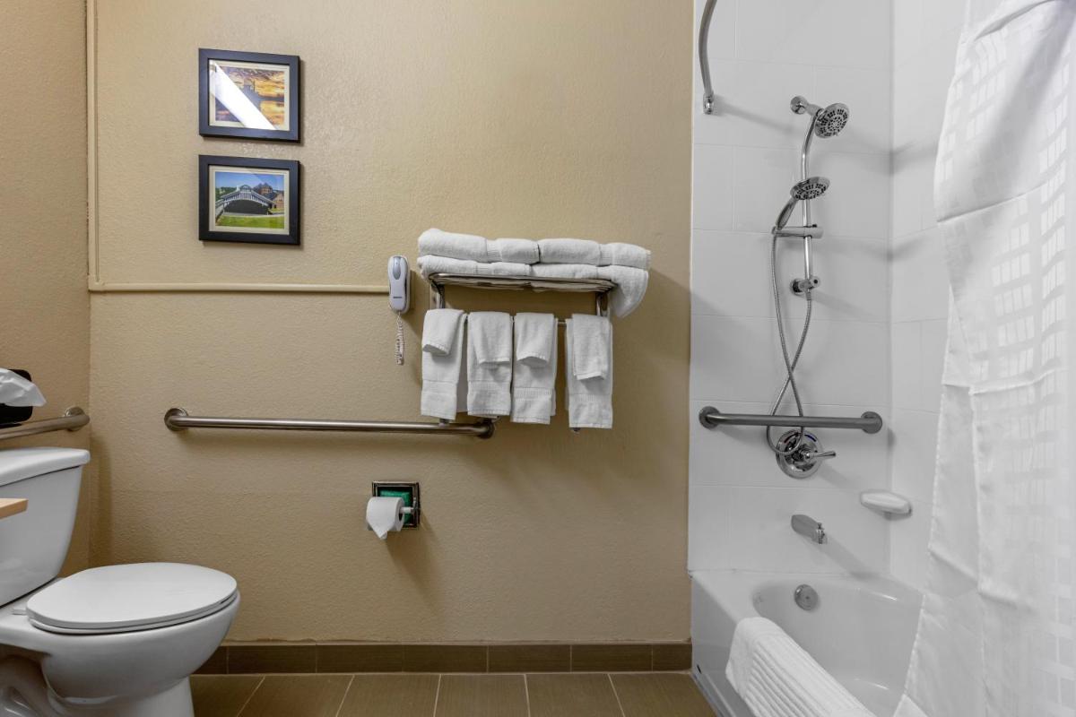 Comfort Inn & Suites Montgomery East Carmichael Rd - image 5