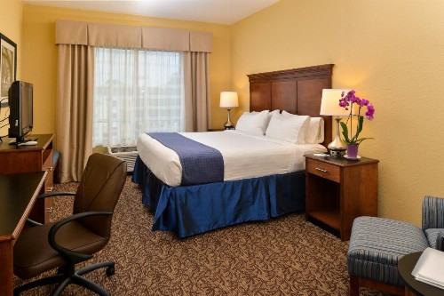 Holiday Inn Montgomery South Airport an IHG Hotel - image 13
