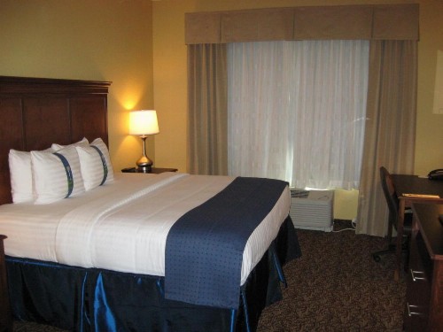Holiday Inn Montgomery South Airport an IHG Hotel - image 28