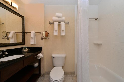 Holiday Inn Montgomery South Airport an IHG Hotel - image 35