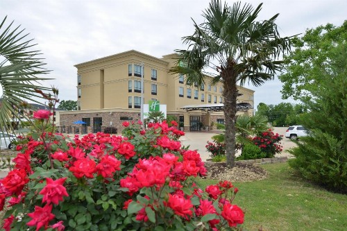 Holiday Inn Montgomery South Airport an IHG Hotel - image 42