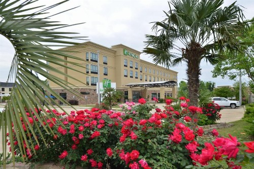 Holiday Inn Montgomery South Airport an IHG Hotel - image 48