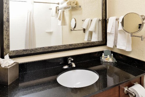 Holiday Inn Montgomery South Airport an IHG Hotel - image 9