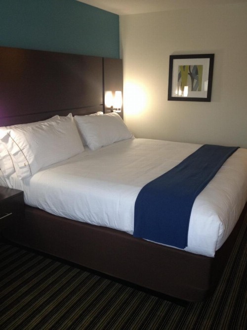 Holiday Inn Express Montgomery East I-85 an IHG Hotel - image 9