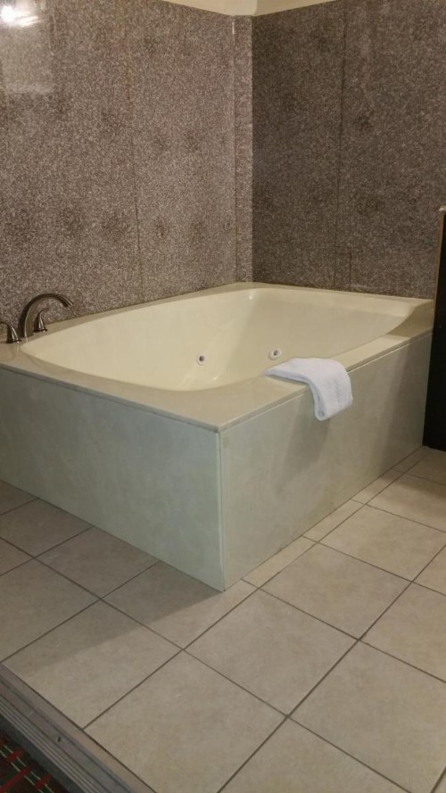 Capitol Inn and Suites - image 23