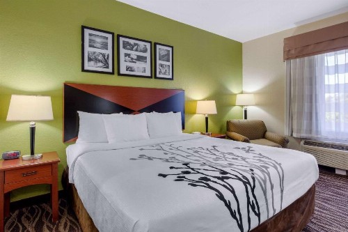 Sleep Inn & Suites Montgomery East I-85 - image 14