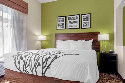 Sleep Inn & Suites Montgomery East I-85 - image 28