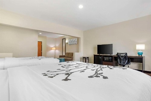 Sleep Inn & Suites Montgomery East I-85 - image 35