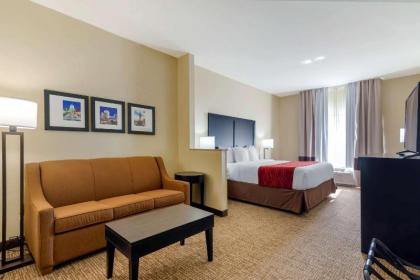 Comfort Inn & Suites Montgomery Eastchase - image 14