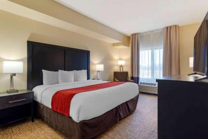 Comfort Inn & Suites Montgomery Eastchase - image 9