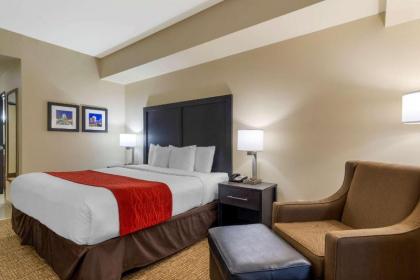 Comfort Inn & Suites Montgomery Eastchase - image 10