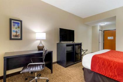 Comfort Inn & Suites Montgomery Eastchase - image 11