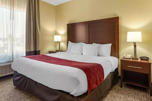 Comfort Suites Montgomery East Monticello Dr. - image 12