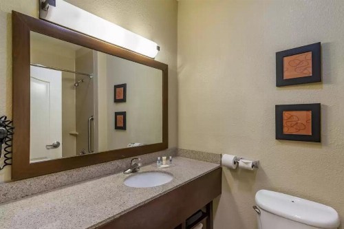 Comfort Suites Montgomery East Monticello Dr. - image 24