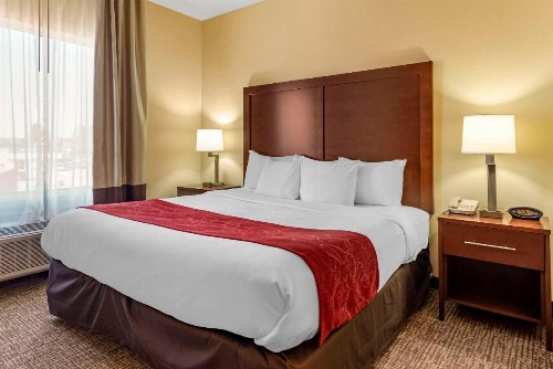 Comfort Suites Montgomery East Monticello Dr. - image 26