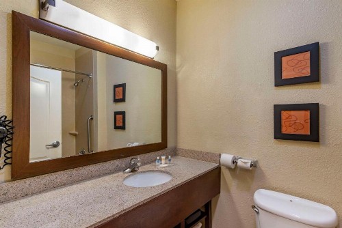 Comfort Suites Montgomery East Monticello Dr. - image 36