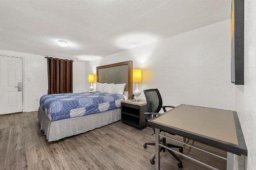 Extended Stay Studios - image 44