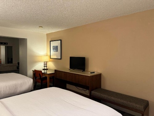 Wayside Motor Inn - image 12