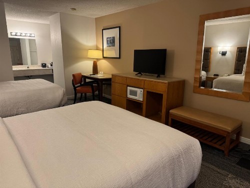 Wayside Motor Inn - image 7