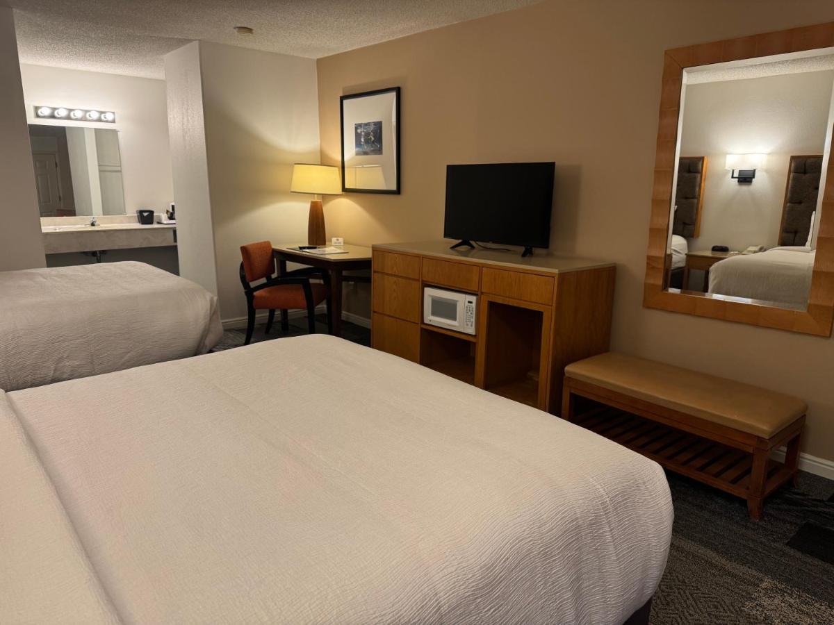 Wayside Motor Inn - image 7