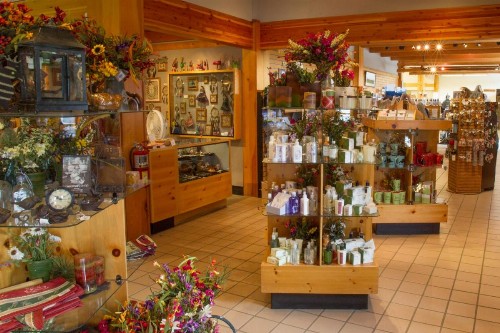 Colter Bay Village - image 6