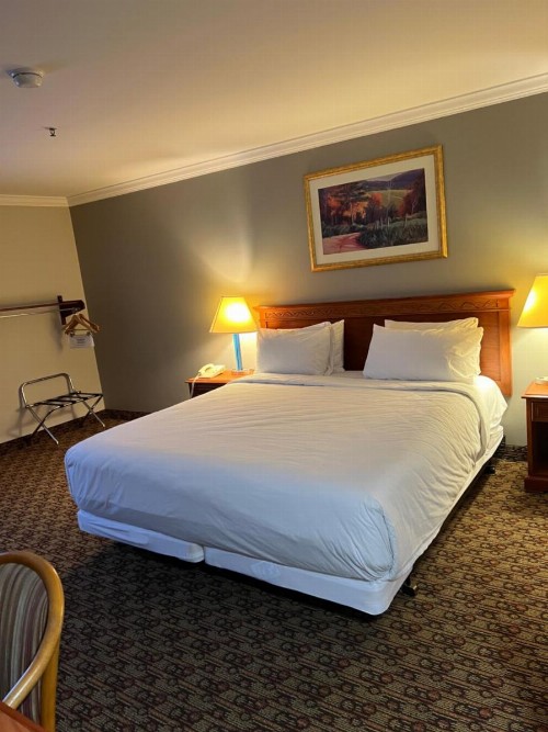 Hotel XOLA Trademark Collection by Wyndham - image 10