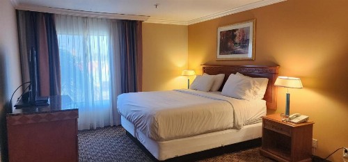 Hotel XOLA Trademark Collection by Wyndham - image 20