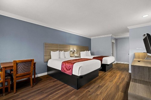 Best Western Moreno Hotel & Suites - image 27