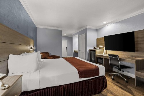 Best Western Moreno Hotel & Suites - image 32