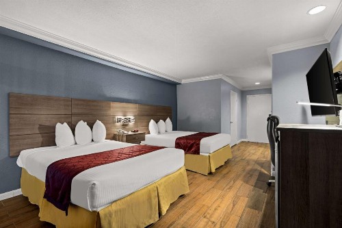 Best Western Moreno Hotel & Suites - image 37