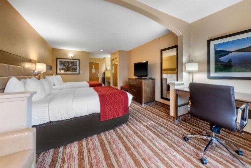 Comfort Inn & Suites - image 10