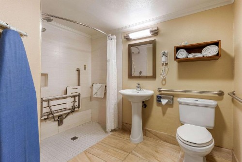 Comfort Inn & Suites - image 13