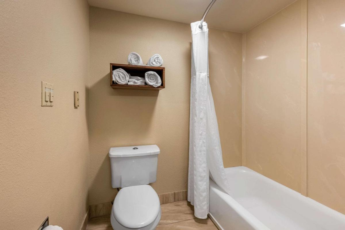 Comfort Inn & Suites - image 2