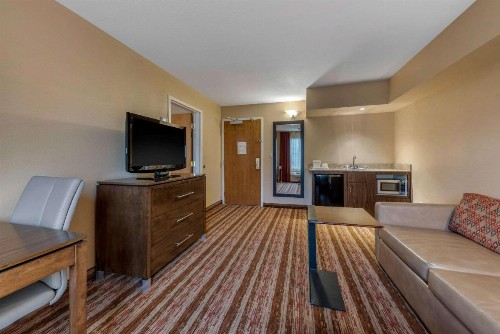 Comfort Inn & Suites - image 20