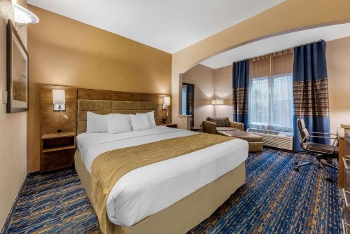 Comfort Inn & Suites - image 24
