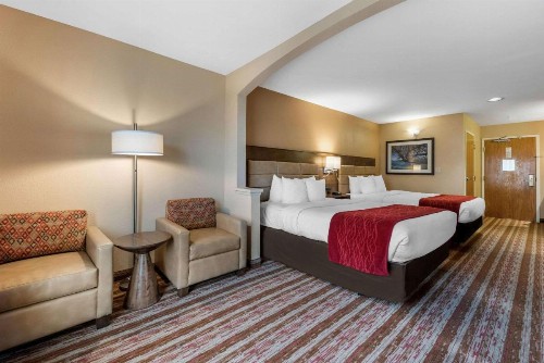 Comfort Inn & Suites - image 27