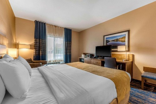 Comfort Inn & Suites - image 28