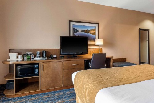 Comfort Inn & Suites - image 31