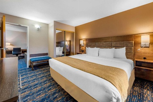 Comfort Inn & Suites - image 9