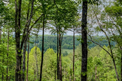 North Georgia Overlook by Escape to Blue Ridge - image 9