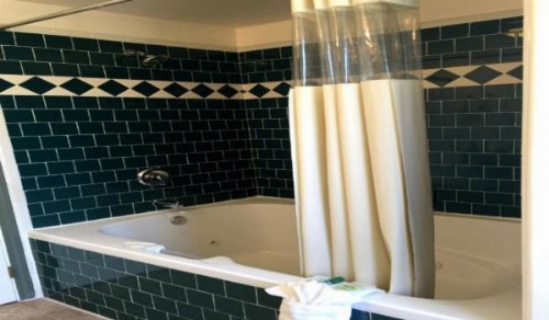 Holland Inn & Suites - image 13