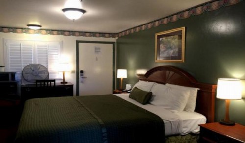 Holland Inn & Suites - image 4